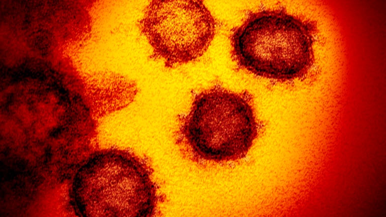 Deadly Coronavirus Cluster At Quincy Walmart Discovered Through Contact  Tracing - CBS Boston