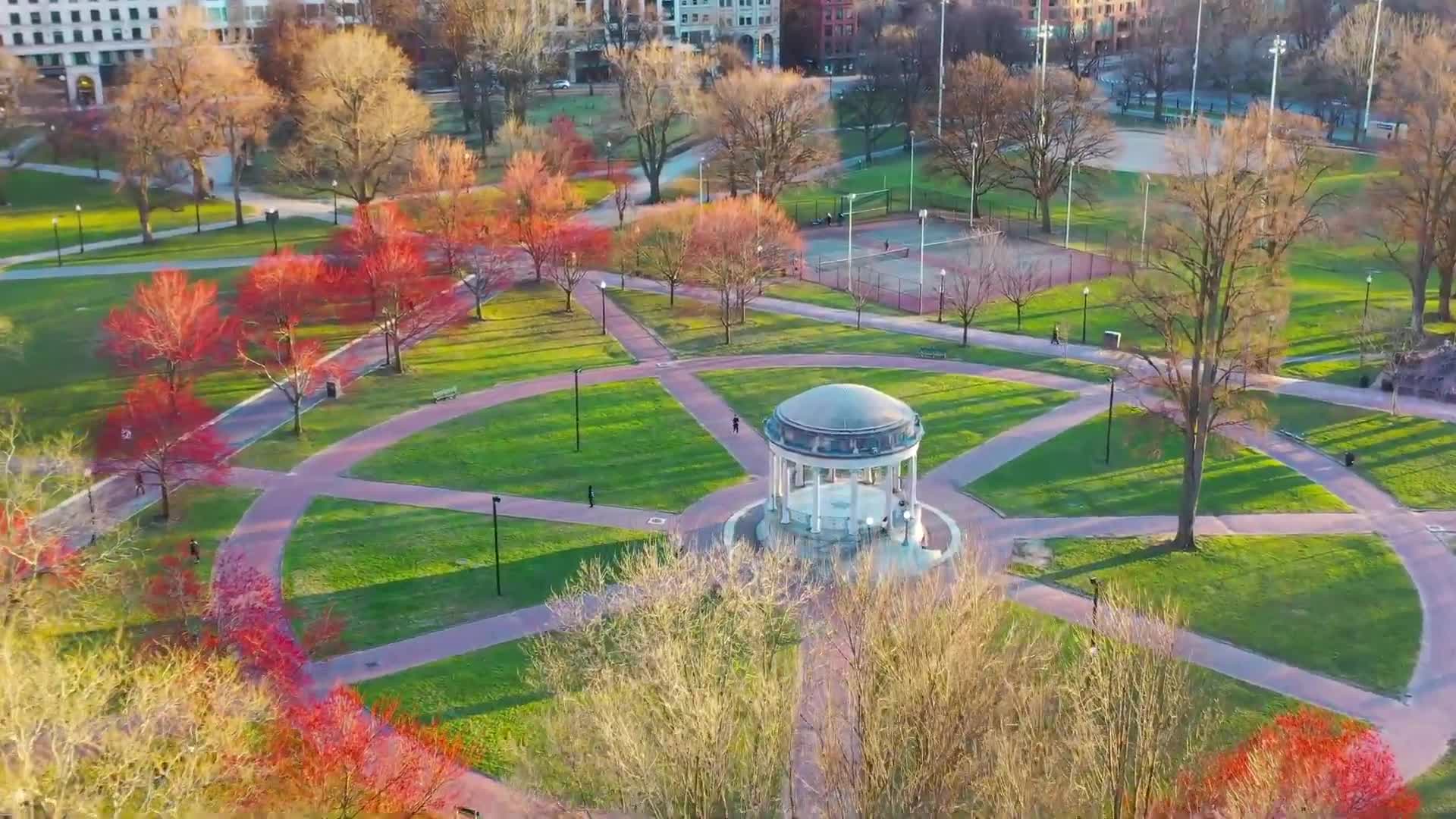 A dog park, a redesigned Frog Pond pavilion, and other proposals inside the Boston Common master plan