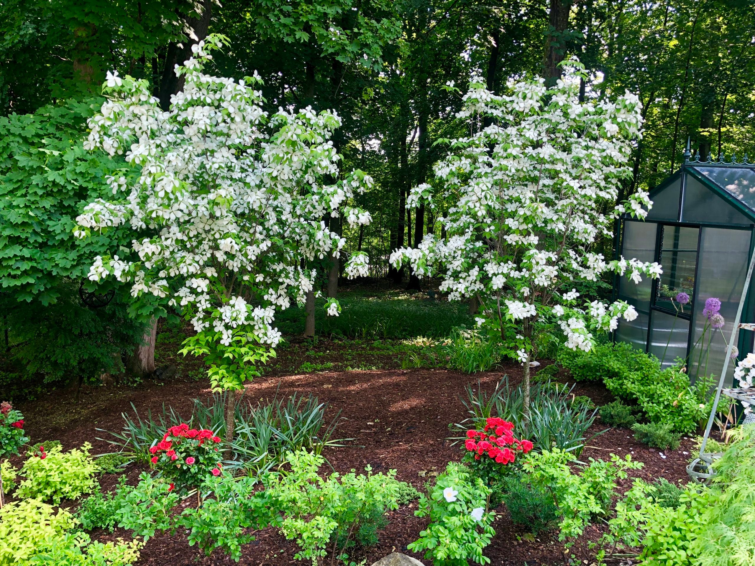 Home of the Week Tudor promises seasons flooded in blooms