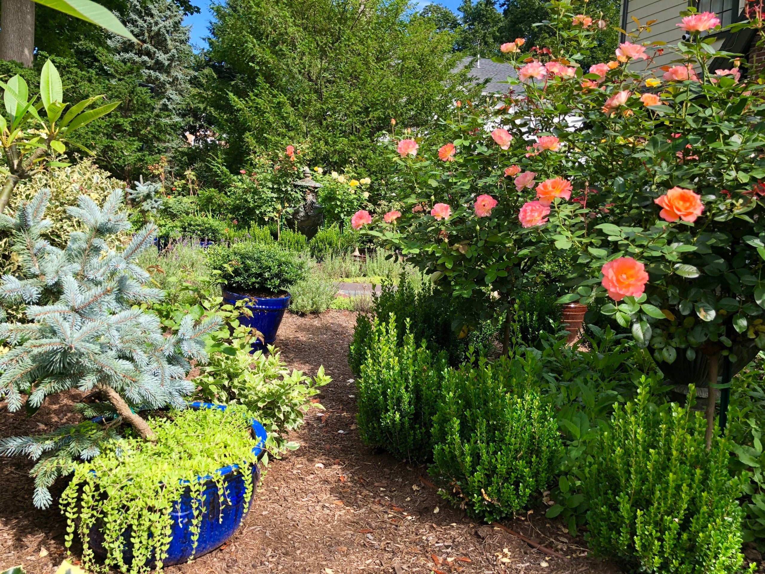 Home of the Week Tudor promises seasons flooded in blooms