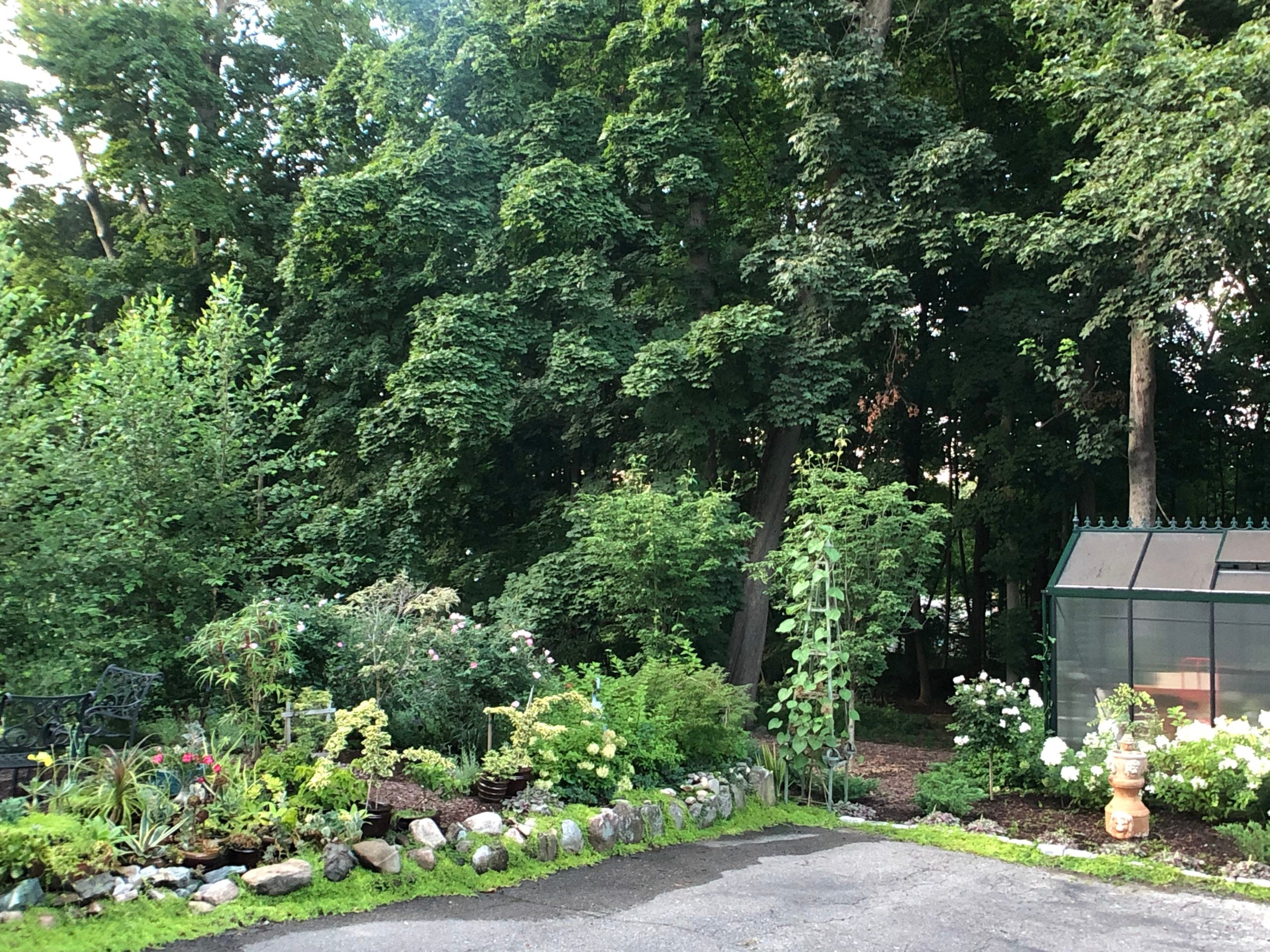 Home of the Week Tudor promises seasons flooded in blooms