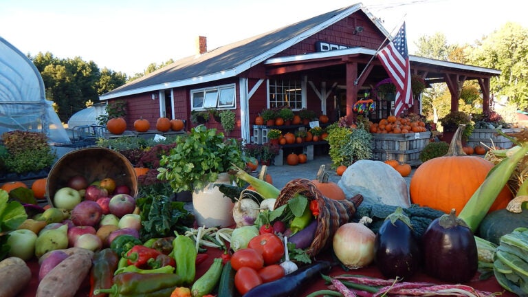 Farmhouse Delivery: Local Texas produce, meat, and grocery delivery service