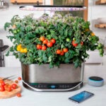 Aerogarden-Indoor-Gardening-Elite