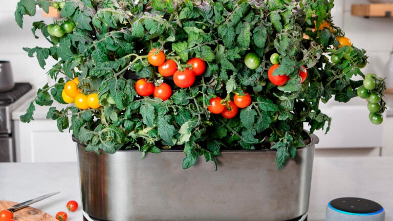 Aerogarden-Indoor-Gardening-Elite