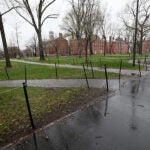 An empty Harvard Yard at Harvard University.