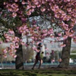 Running on the Charles River Esplanade