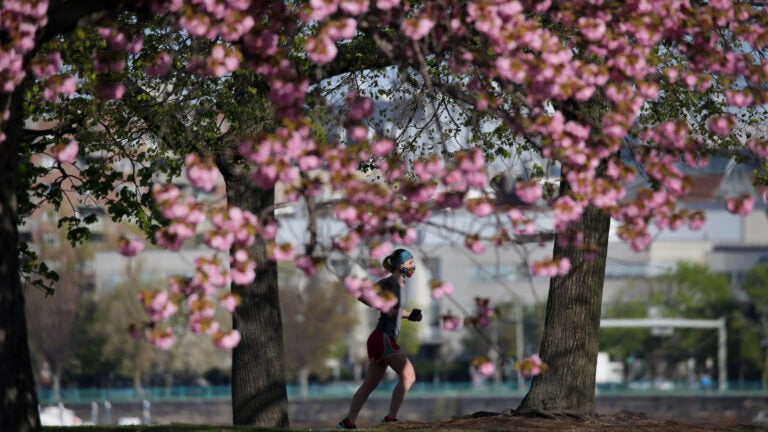 Running on the Charles River Esplanade