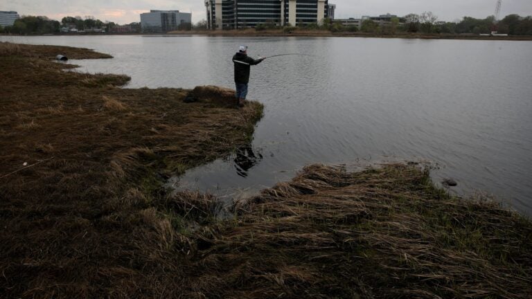 A man fishing in Boston.