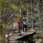 People cross a stream on Hammond Pond Reservation.