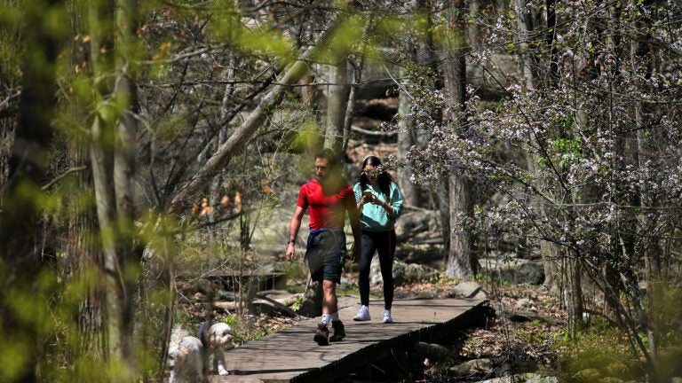 People cross a stream on Hammond Pond Reservation.