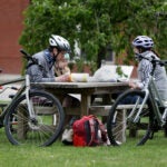 Picnic Area in Needham.