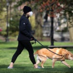 A woman walks her dog in Boston.