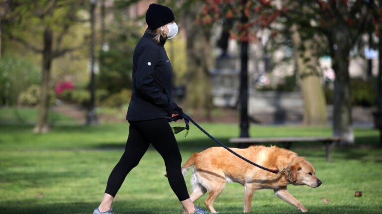 A woman walks her dog in Boston.