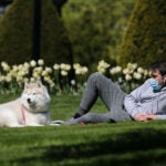 A man and his dog at the Public Garden.