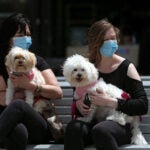 A mother and daughter sit with their dogs.