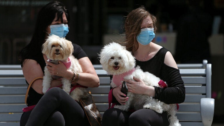 A mother and daughter sit with their dogs.