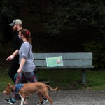 A walk in the Arnold Arboretum.