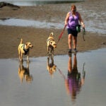 A woman walks her dogs along Scituate Harbor.