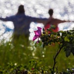 Morning yoga class at Wollaston Beach.