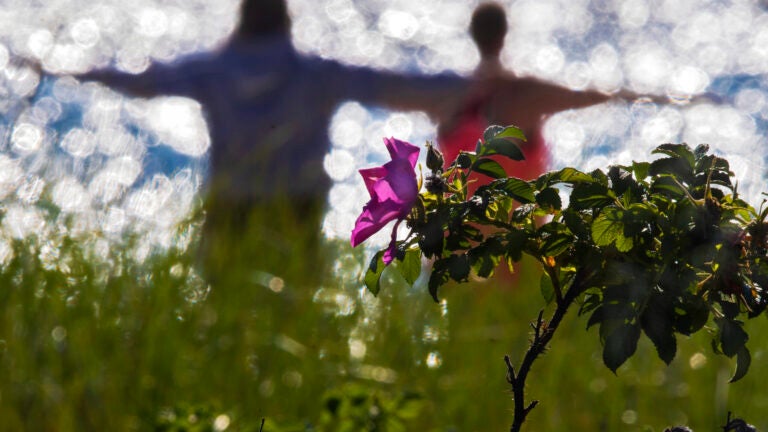 Morning yoga class at Wollaston Beach.