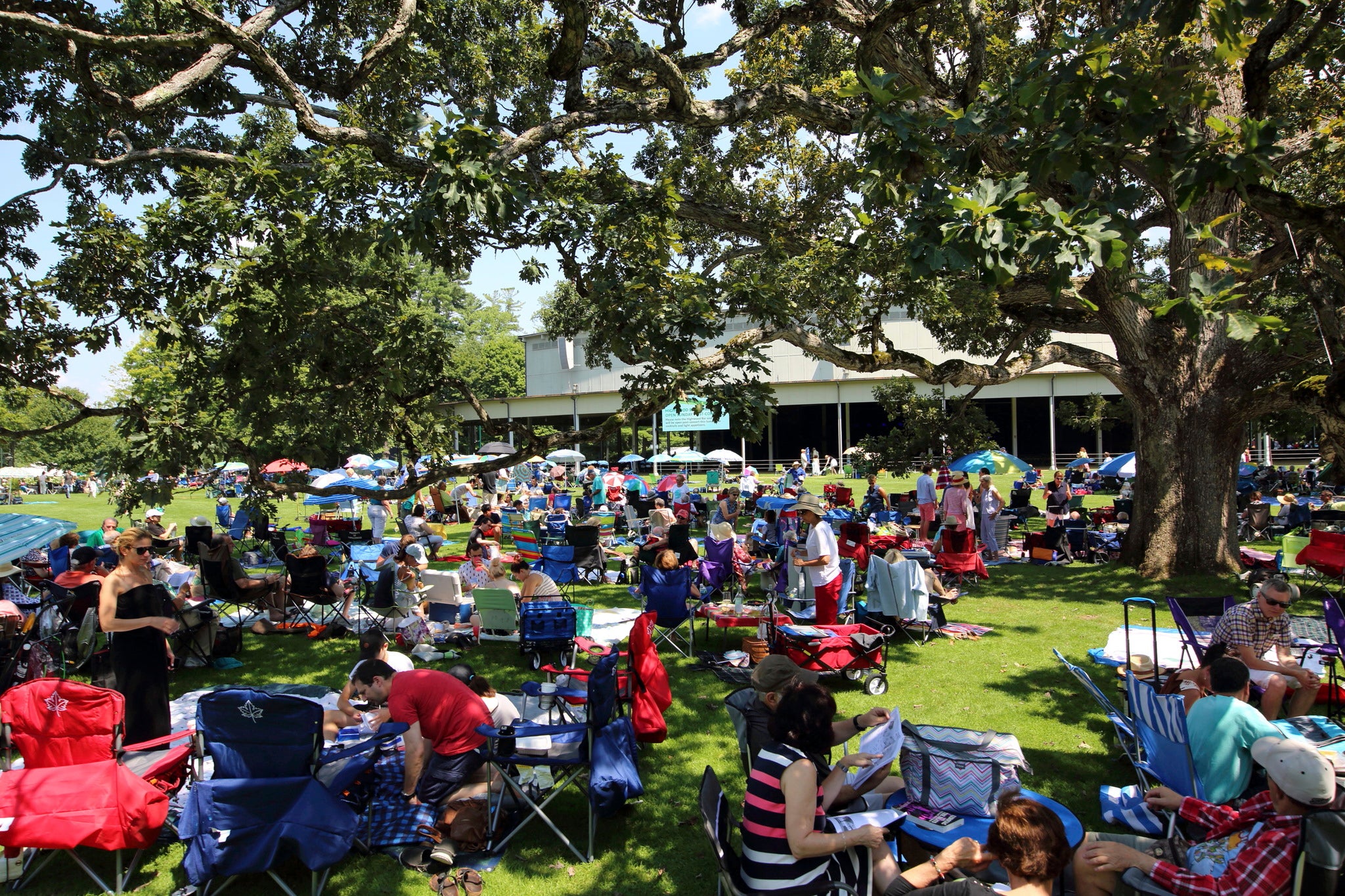 Tanglewood unveils 2020 online summer music festival lineup