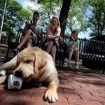 A dog named Hunter enjoys a dairy-free treat.