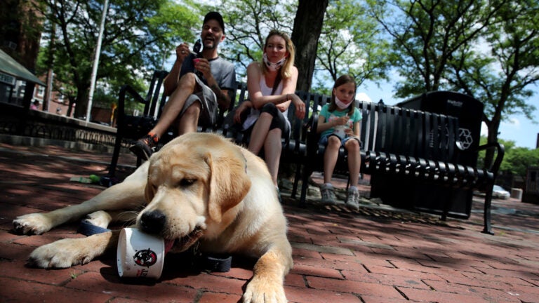 A dog named Hunter enjoys a dairy-free treat.