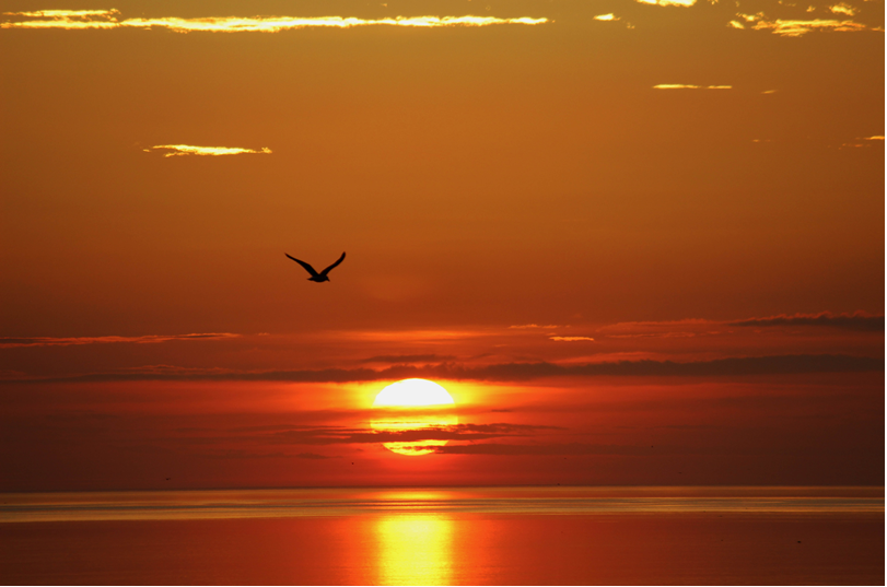 Sunset at Sandy Neck Beach, Barnstable