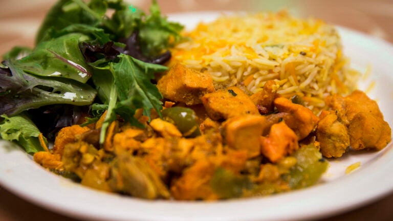 Chicken biryani is pictured at Tawakal Halal Cafe