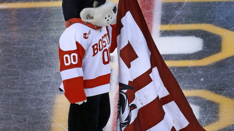 Boston University Champion Hoodie