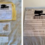 Mysterious-Seed-Packets-China