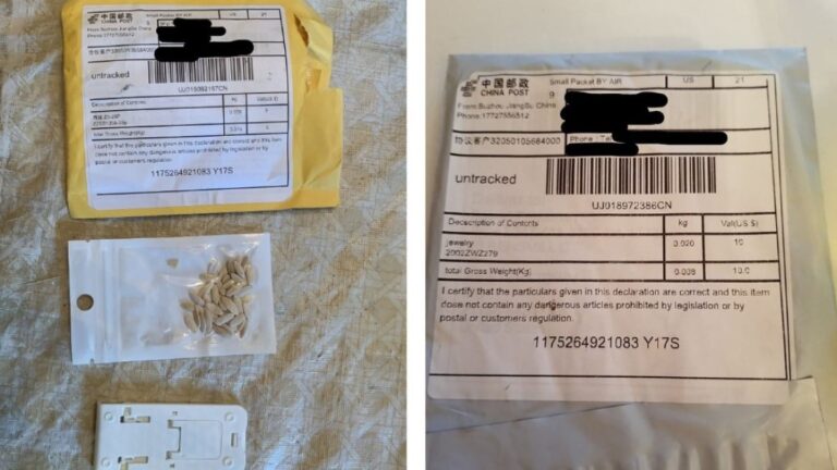 Mysterious-Seed-Packets-China