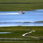 A pleasure boat speeds through the Great Marsh in Ipswich.