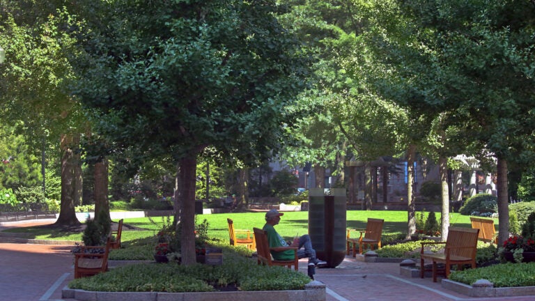 The park at Post Office Square.