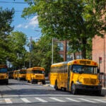 School Buses in NYC