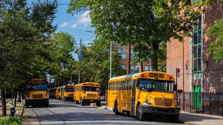 School Buses in NYC
