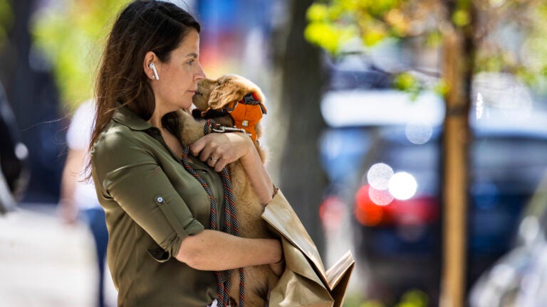 Woman snuggles her dog in Boston.