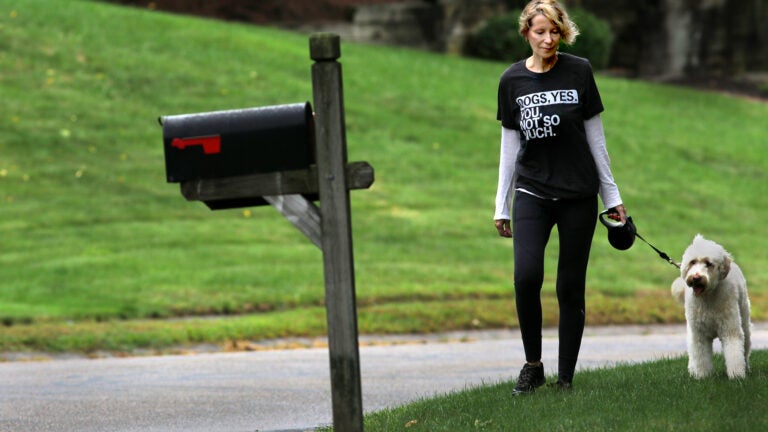 Deb Ternove walks Bailey, a client's dog.
