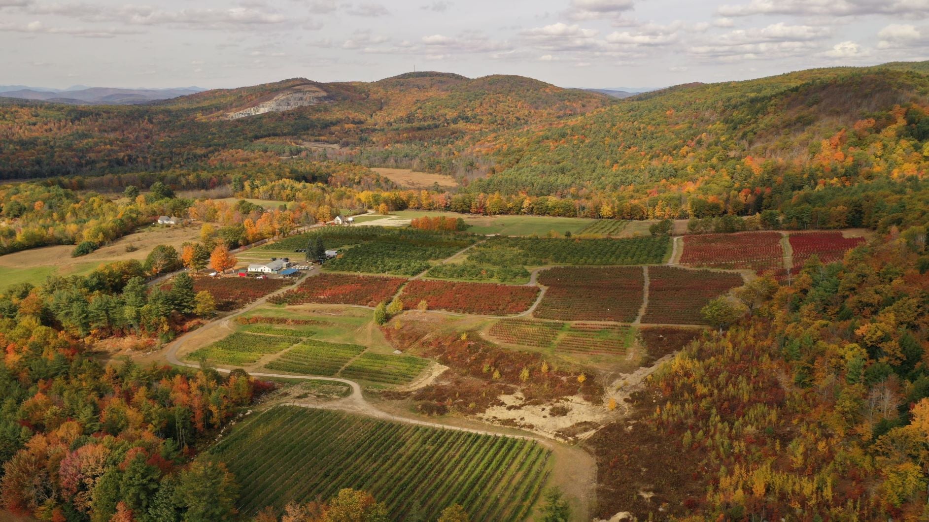 Apple orchards are within an arm's reach throughout the county