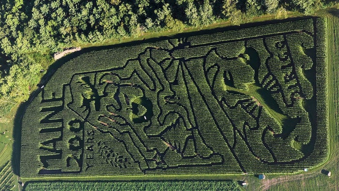 Maine has the best corn maze in America, according to USA Today readers