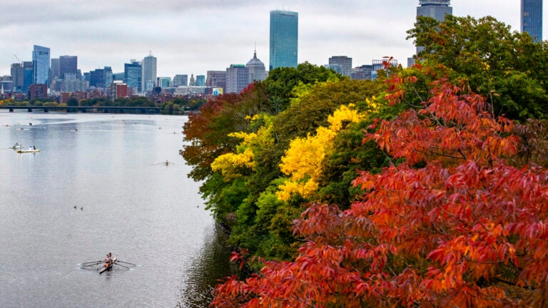 Solo and double sculls on the Charles River.