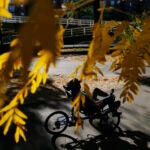 A recumbent bicyclist makes their way along the Charles River Esplanade.