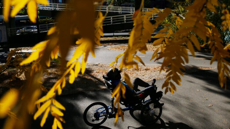 A recumbent bicyclist makes their way along the Charles River Esplanade.