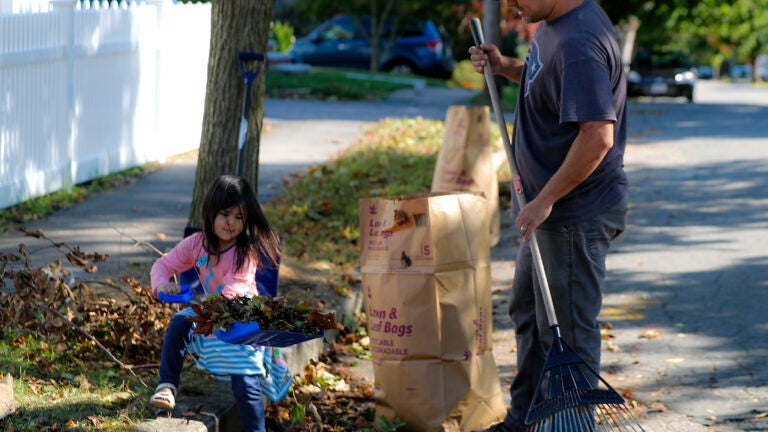 A father and daughter rake leaves in Quincy.
