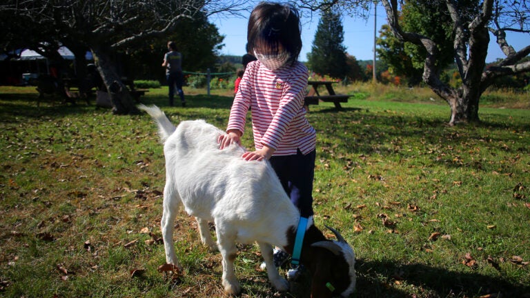 Chestnut Hill Farm in Southborough.