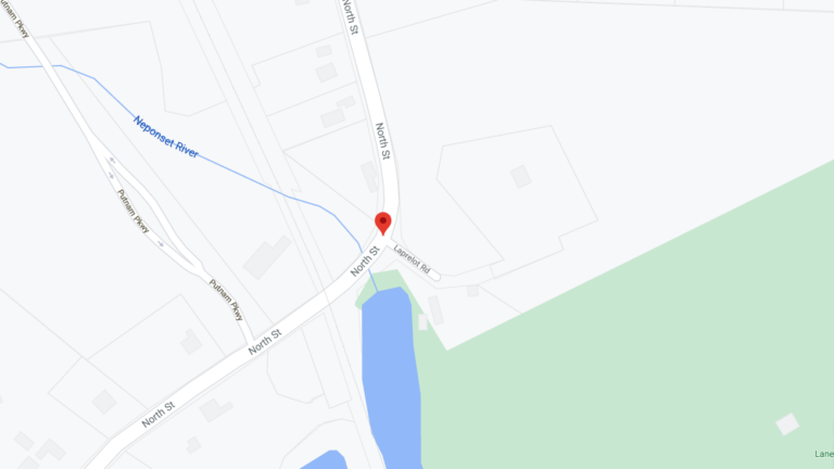 Three people, dog seriously injured in head-on crash in foxborough