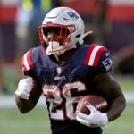 Sony Michel Patriots.