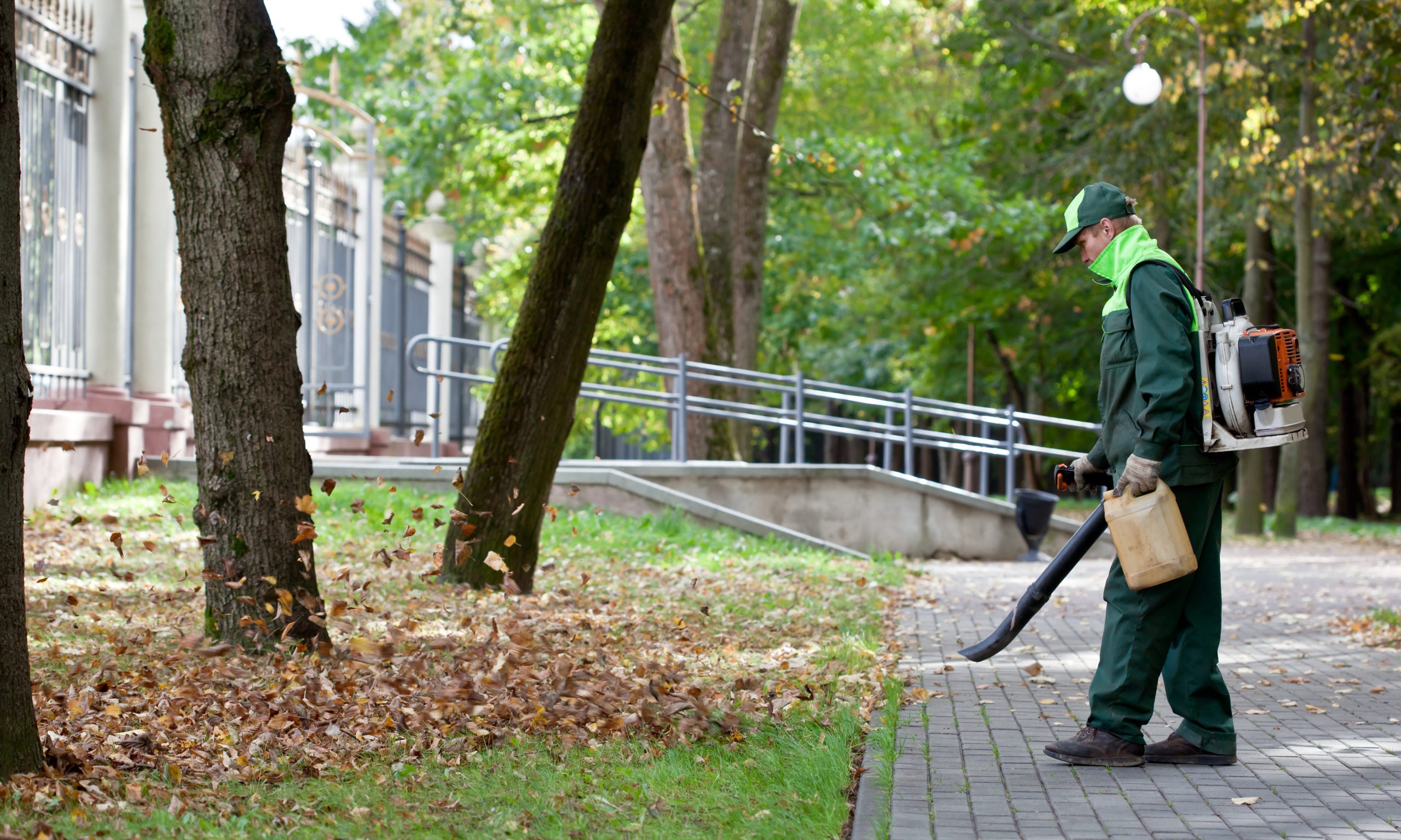 Ask the Gardener: The case against gas-powered leaf blowers