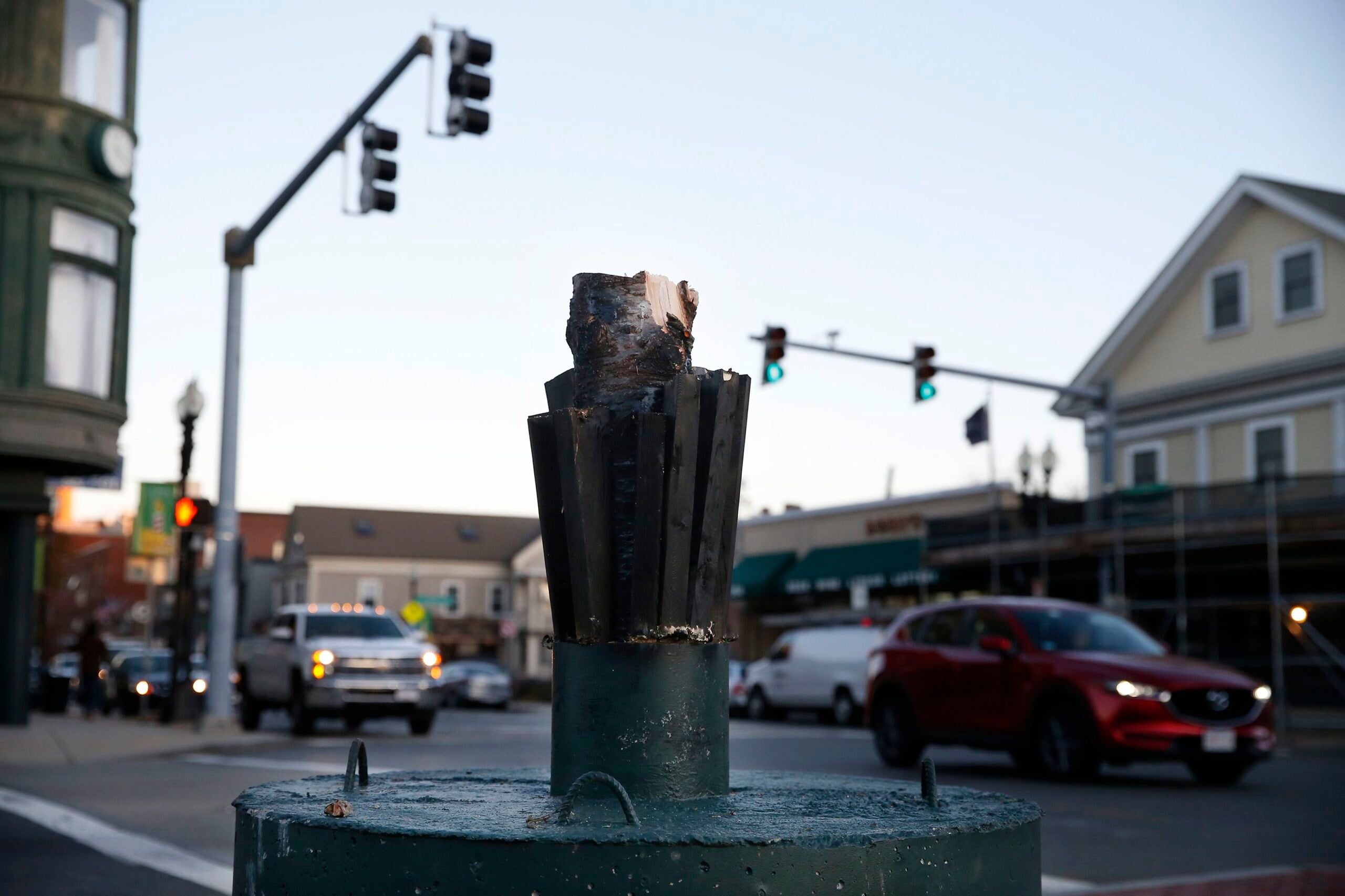 The Sad Case Of The Quickly Removed Brighton Christmas Tree The Sad Case Of The Quickly Removed Brighton Christmas Tree