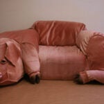 NYT-Pig-Couch-Craigslist